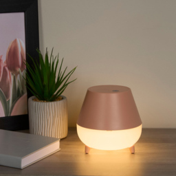 Lighting Collection Pink Rechargeable Storage LED Table Lamp - Size: 14 x 13 x 13cm - Salmon and Frosted - Wilko - thumbnail 3