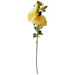 Leaf Yellow Rose Artificial Stem 80cm 6 Pack - Size: 80 x 20 x 20cm - Wilko - thumbnail 4