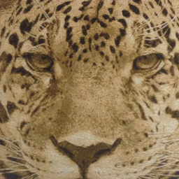Intimates Leopard Fur Trim Filled Cushion 43 x 43cm 2 Pack - Brown - Wilko - thumbnail 3