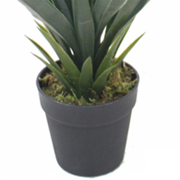 Botanik Yukka Artificial Plant in Silver Metal Planter 3ft - Size: 90 x 19 x 19cm - Wilko - thumbnail 5
