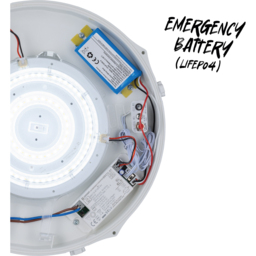 TCP Emergency Bulkhead Wall and Ceiling Light - Size: 7.5 x 30 x 30cm - White - Wilko - thumbnail 4