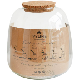 Ivyline Medium Bowl Shape Terrarium DIY Kit 20 x 19cm - Size: 22 x 19 x 19cm - Clear - Wilko - thumbnail 4