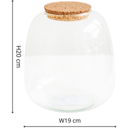 Ivyline Medium Bowl Shape Terrarium DIY Kit 20 x 19cm - Size: 22 x 19 x 19cm - Clear - Wilko - thumbnail 7