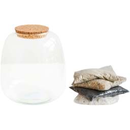 Ivyline Medium Bowl Shape Terrarium DIY Kit 20 x 19cm - Size: 22 x 19 x 19cm - Clear - Wilko