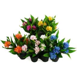 Leaf Freesia Artificial Plant in Pot 18cm 6 Pack - Size: 18 x 25 x 25cm - Green - Wilko - thumbnail 1