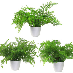 Leaf Fern Artificial Plant in Pot 30cm 3 Pack - Size: 30 x 40 x 40cm - Green - Wilko - thumbnail 1