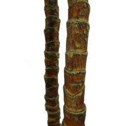 Leaf Triple Yukka Artificial Tree 170cm - Size: 170 x 40 x 40cm - Green - Wilko - thumbnail 4