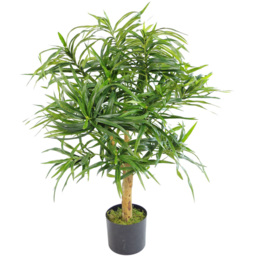 Botanik Green Dracaena Ficus Artificial Tree with Natural Wood Trunk in Pot 3.3ft - Size: 80 x 70 x 70cm - Wilko