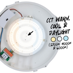 TCP Bulkhead Wall and Ceiling Light - Size: 7.5 x 30 x 30cm - White - Wilko - thumbnail 5