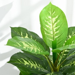 Portland Artificial Flora Tree in Pot - Size: 120 x 17 x 17cm - Green - Wilko - thumbnail 4