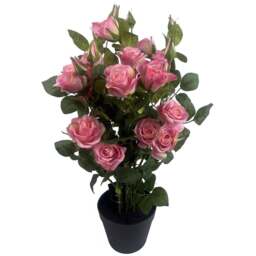 Leaf Pink Blush Rose Artificial Plant in Pot 60cm - Size: 60 x 30 x 30cm - Botanik - Wilko
