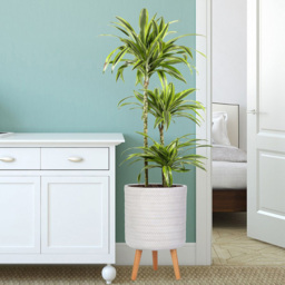 wilko Plaited Style White Indoor Cylinder Plant Pot with Legs 46cm - Instadecor - thumbnail 3