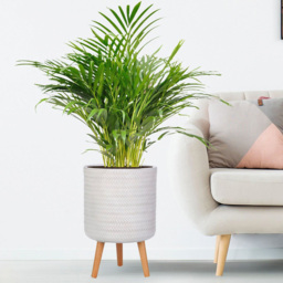 wilko Plaited Style White Indoor Cylinder Plant Pot with Legs 46cm - Instadecor - thumbnail 6