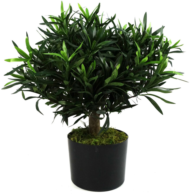 Leaf Podocarpus Bush Artificial Plant in Pot 40cm - Size: 40 x 40 x 40cm - Green - Wilko - image 1