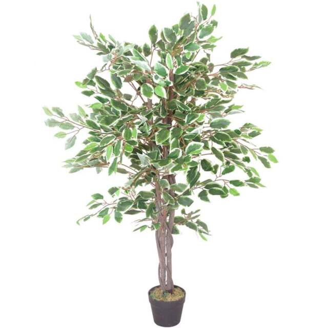 Botanik White Edge Twist Ficus Artificial Tree in Pot 4ft - Size: 100 x 60 x 60cm - Green - Wilko - image 1