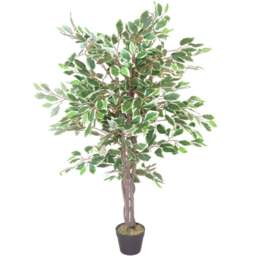 Botanik White Edge Twist Ficus Artificial Tree in Pot 4ft - Size: 100 x 60 x 60cm - Green - Wilko - thumbnail 1