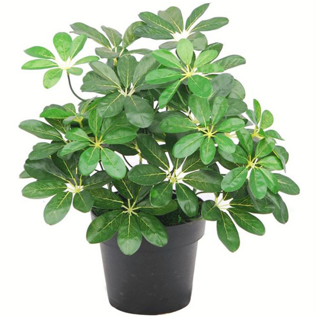 Leaf Arboricola Umbrella Artificial Tree Pot 1.8ft - Size: 55 x 30 x 30cm - Green - Wilko - image 1