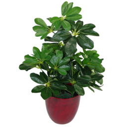 Leaf Arboricola Umbrella Artificial Tree Pot 1.8ft - Size: 55 x 30 x 30cm - Green - Wilko - thumbnail 3