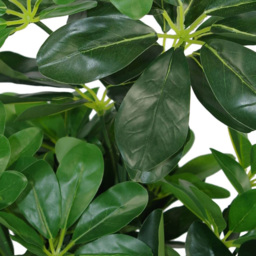 Leaf Arboricola Umbrella Artificial Tree Pot 1.8ft - Size: 55 x 30 x 30cm - Green - Wilko - thumbnail 6