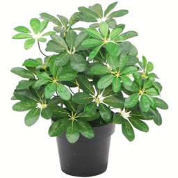 Leaf Arboricola Umbrella Artificial Tree Pot 1.8ft - Size: 55 x 30 x 30cm - Green - Wilko - thumbnail 1