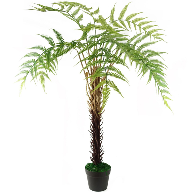 Botanik Artificial Fern Tree in Pot 4ft - Size: 0 x 0 x 0cm - Green - Wilko - image 1