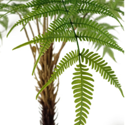 Botanik Artificial Fern Tree in Pot 4ft - Size: 0 x 0 x 0cm - Green - Wilko - thumbnail 5
