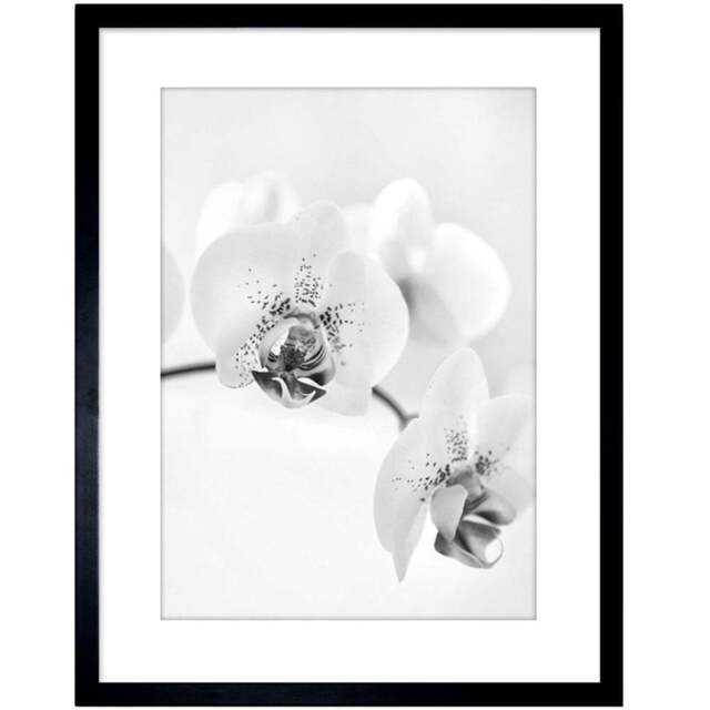 Wee Blue Coo Black and White Orchid Flower Framed Wall Art Print 23 x 18cm - Size: 25.9 x 20.6 x 1.5cm - Wilko - image 1