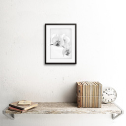 Wee Blue Coo Black and White Orchid Flower Framed Wall Art Print 23 x 18cm - Size: 25.9 x 20.6 x 1.5cm - Wilko - thumbnail 3