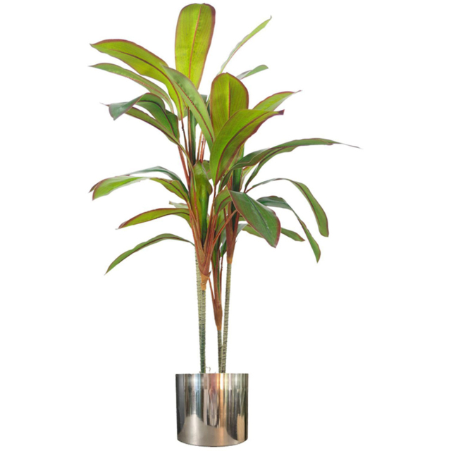 Botanik Dracaena Palm Artificial Tree in Silver Metal Planter 3.3ft - Size: 90 x 70 x 70cm - Green - Wilko - image 1