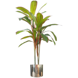 Botanik Dracaena Palm Artificial Tree in Silver Metal Planter 3.3ft - Size: 90 x 70 x 70cm - Green - Wilko