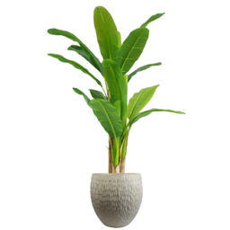 Leaf Inoke Stone Embossed Composite Planter 43cm - Size: 43 x 43 x 43cm - Brown - Wilko - thumbnail 3