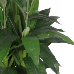 Leaf Pink Cymbidium Orchid Artificial Plant in Pot 100cm - Size: 100 x 40 x 40cm - Green - Wilko - thumbnail 4