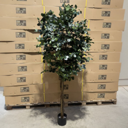 Leaf Black Olive Fire Retardant Artificial Tree 5.9ft - Size: 180 x 80 x 80cm - Green - Wilko - thumbnail 3