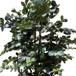 Leaf Black Olive Fire Retardant Artificial Tree 5.9ft - Size: 180 x 80 x 80cm - Green - Wilko - thumbnail 4