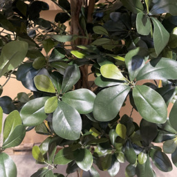 Leaf Black Olive Fire Retardant Artificial Tree 5.9ft - Size: 180 x 80 x 80cm - Green - Wilko - thumbnail 7
