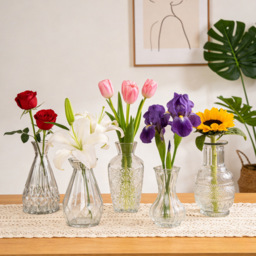 Living and Home 5 Piece Clear Small Glass Bud Vase Set - Size: 12.4 x 6.6 x 6.6cm - Wilko - thumbnail 3