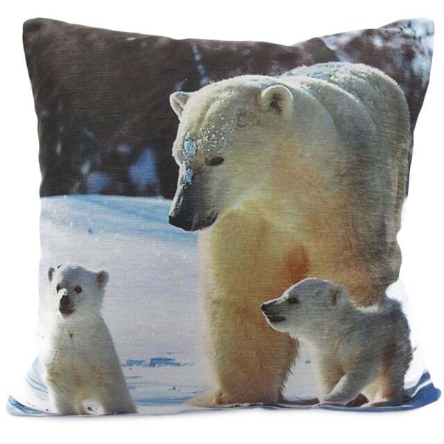 Intimates Polar Bear Filled Cushion 43 x 43cm 2 Pack - n/a - Wilko - image 1