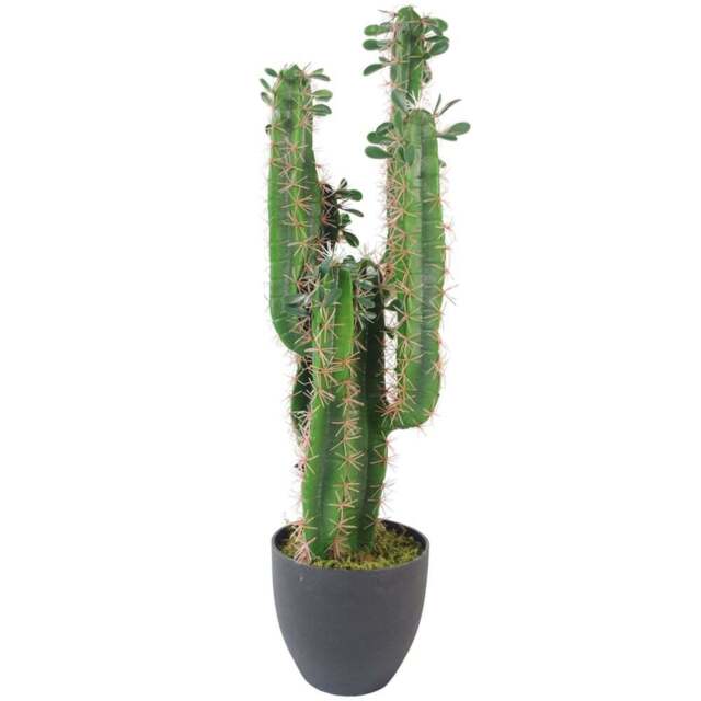 Leaf Cactus Artificial Plant in Pot 65cm - Size: 75 x 22 x 22cm - Green - Wilko - image 1
