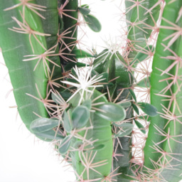 Leaf Cactus Artificial Plant in Pot 65cm - Size: 75 x 22 x 22cm - Green - Wilko - thumbnail 3