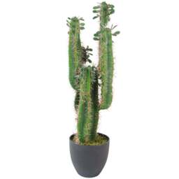 Leaf Cactus Artificial Plant in Pot 65cm - Size: 75 x 22 x 22cm - Green - Wilko - thumbnail 1