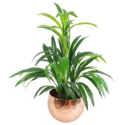 Leaf Hammered Copper Plated Metal Planter 22 x 17cm - Size: 17 x 22 x 22cm - Orange - Wilko - thumbnail 4