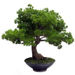 Leaf Pine Bonsai Artificial Plant in Pot 50cm - Size: 50 x 60 x 60cm - Green - Wilko