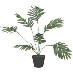 Table Palm Tree Light Green - Wilko - thumbnail 4