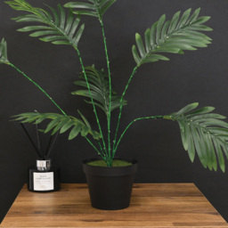 Table Palm Tree Light Green - Wilko - thumbnail 6