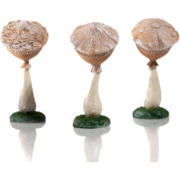 Marco Paul 3 Piece Miniature Mushroom Faces Garden Ornament - Size: 44 x 27 x 31.5cm - White - Wilko - thumbnail 4