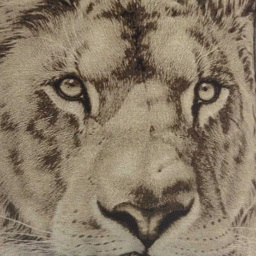 Intimates Lion Fur Trim Filled Cushion 43 x 43cm 2 Pack - Brown - Wilko - thumbnail 3