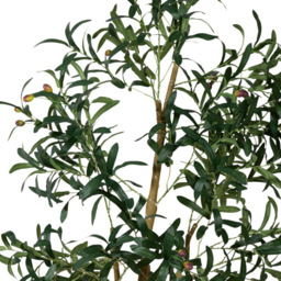 XL LED Olive Tree Green - Wilko - thumbnail 4