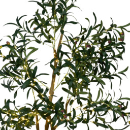 XL LED Olive Tree Green - Wilko - thumbnail 5