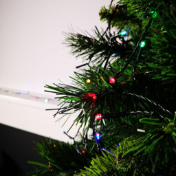 Premier 50 Multicolour LED Multifunction String Light 5m - Size: 4 x 500 x 4cm - Wilko - thumbnail 7