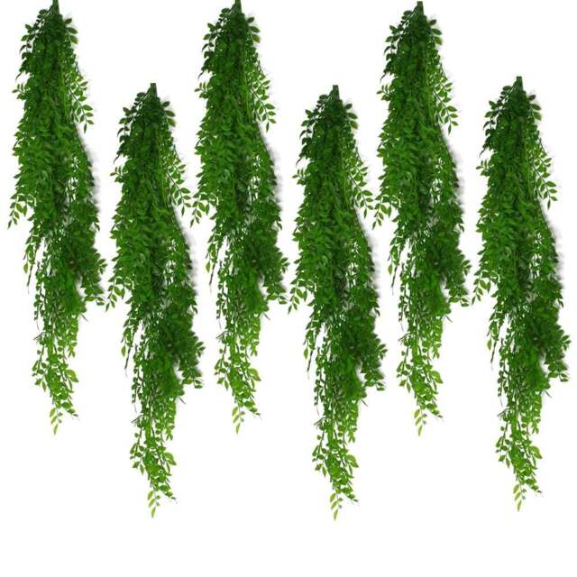 Leaf Light Green Fern Hanging Pearls Plant 100cm 6 Pack - Size: 100 x 12 x 12cm - Wilko - image 1